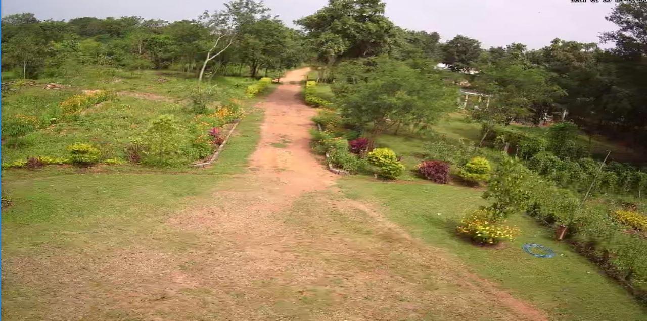 Peacock Resort Anurâdhapura Extérieur photo
