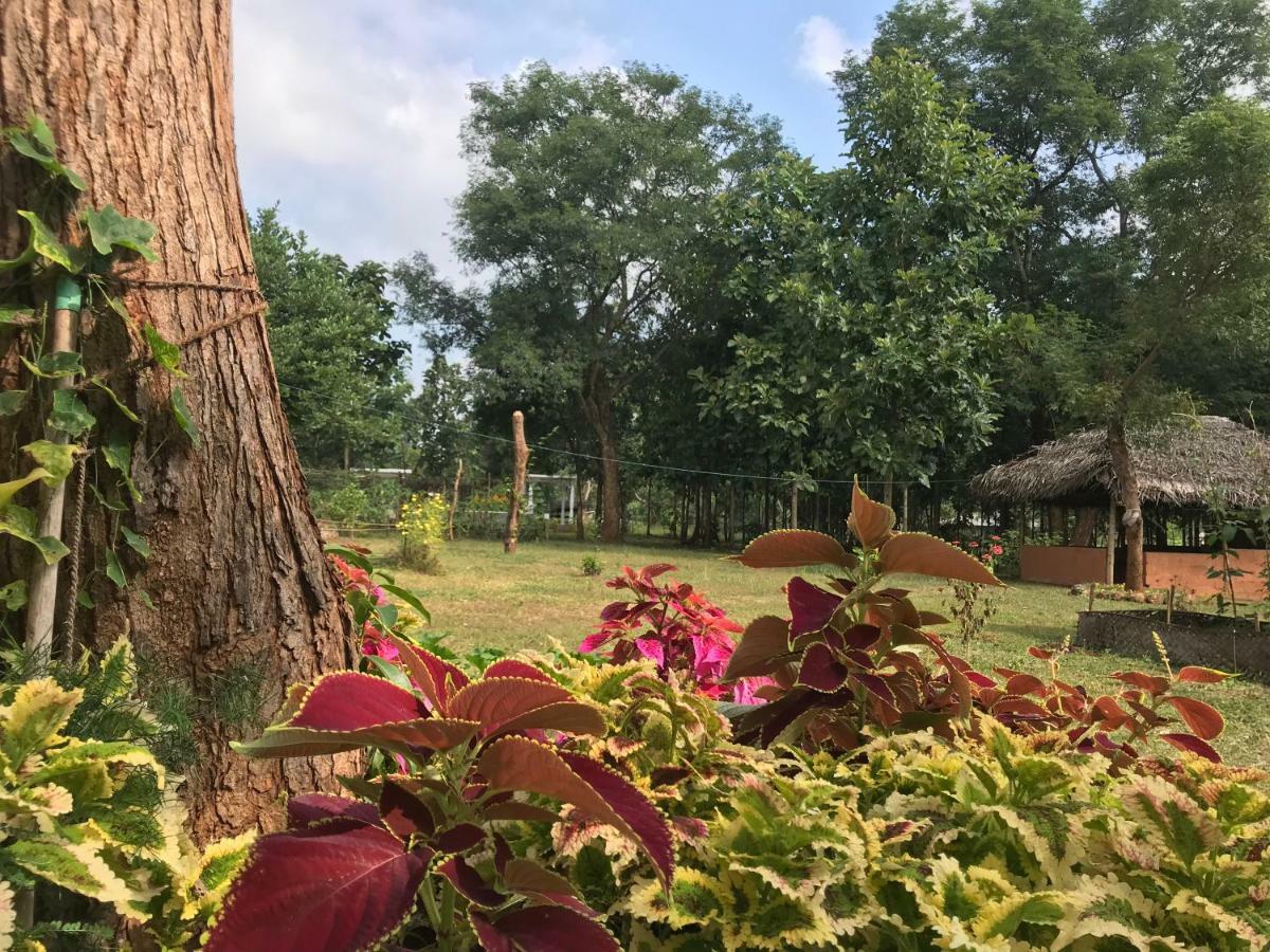 Peacock Resort Anurâdhapura Extérieur photo